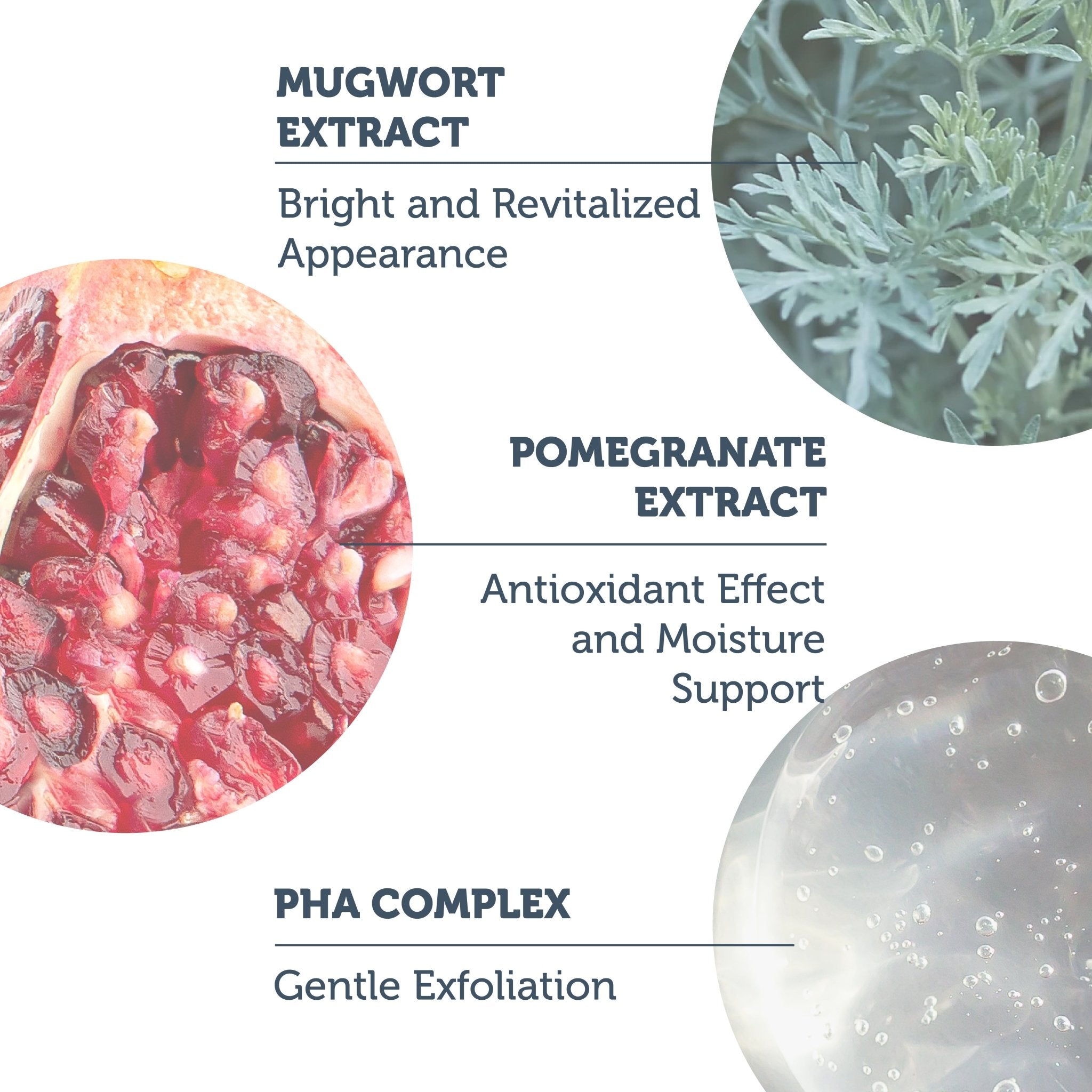 Refine and Glow PHA Complex Toner 1.5% + Pomegranate Extract - The Purest Solutions | Skincare that actually works