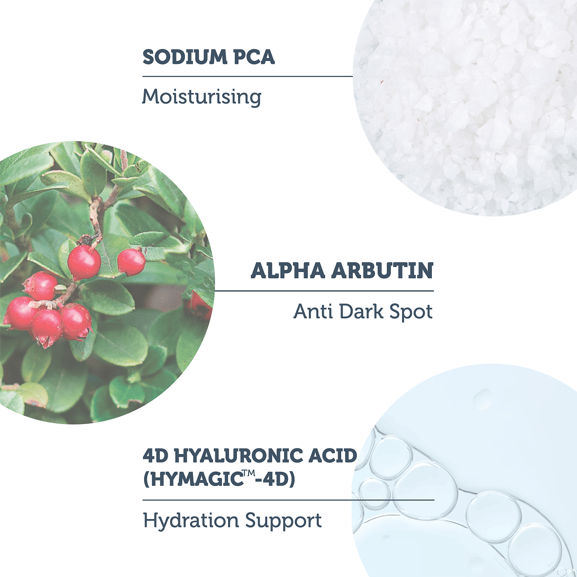Arbutin 2% + Hyaluronic Acid Brightening Serum