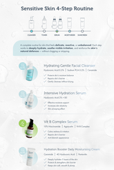 Sensitive Skin Reset: 4-Step System to Hydrate, Soothe & Rebuild