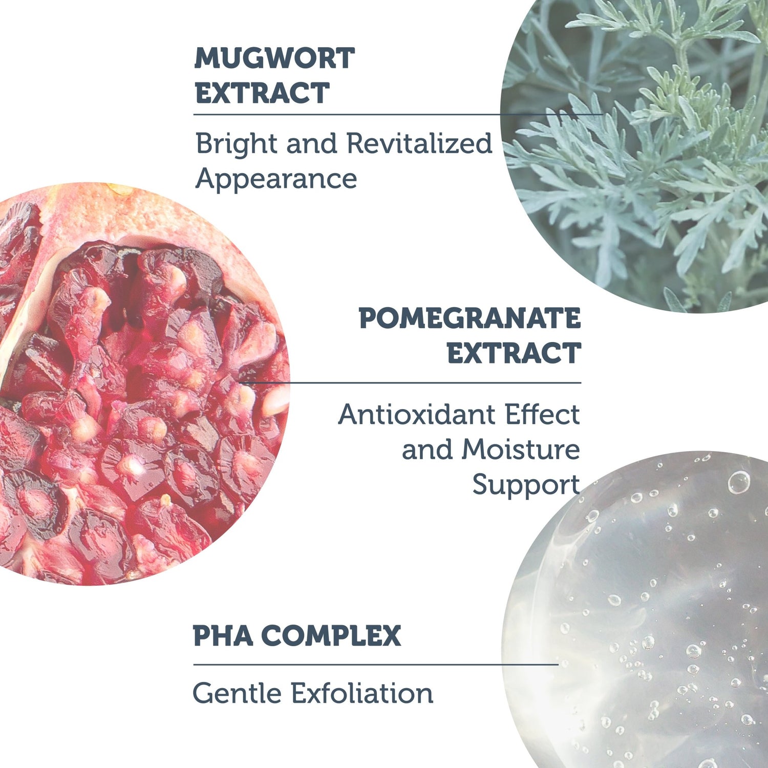 Refine and Glow PHA Complex Toner 1.5% + Pomegranate Extract - The Purest Solutions | Skincare that actually works