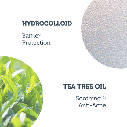 TeaTree Oil Hydrocoııoid İnvisible Acne Spot Patches - The Purest Solutions | Skincare that actually works